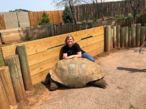 Shelly with tortoise in shell