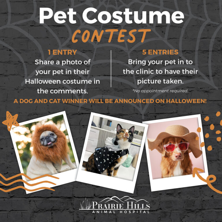 2410.PRAIRIEHILLS.PetCostumeContest.d3