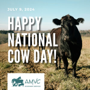 2407.AMVC.NationalCowDay.Social