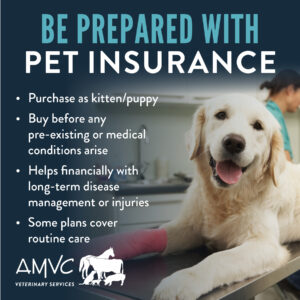 2409.AMVC.PetInsurance.Social